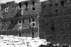 ���� ������ ��� ��� ����